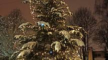 Vánoční stromek v Jablonecký Pasekách