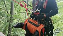 Hasiči - lezci zachránili psa ze skály v Turnově Bukovině