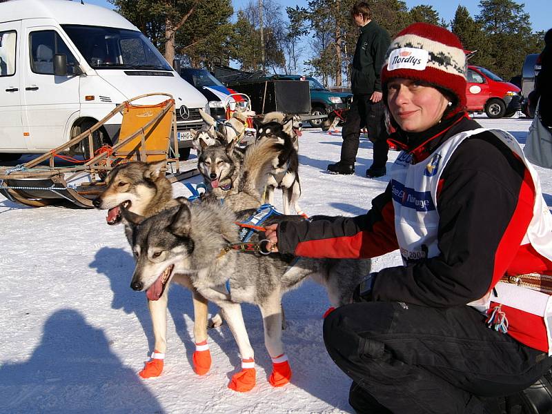 Jana Henychová z Horního Maxova se svou smečkou huskies dosáhla cíle extrémního závodu Finnmarksløpet 2009 v norské Altě. 1060 kilometrů zvládla za 8 dní, 16 hodin a 8 minut. Snímek před startem v Altě. 