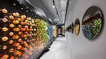 Na novou expozici Svět zázraků láká Muzeum skla a bižuterie v Jablonci nad Nisou.