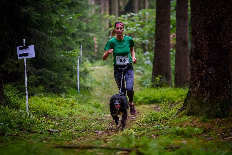 Hruboskalský canicross.