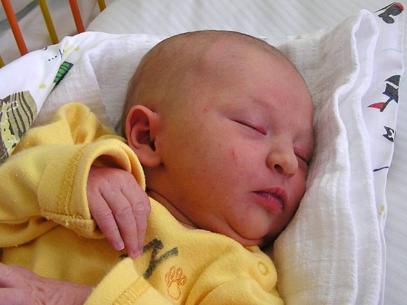 LOUISA NALEZENÁ se narodila Tereze a Pavlovi Nalezeným z Jablonce nad Nisou 30. 5. 2016. Měřila 47 cm a vážila 2850 g. 