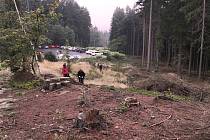 Dobrovolníci uklízeli lesy a sázeli stromky v okolí Jablonce.