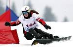 Ve skiareálu Rejdice vyhrála v paralelním obřím slalomu na snowboardu na evropské olympiádě mládeže EYOWF 2011 Ester Ledecká.  