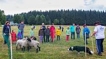 Slavnosti jizerskohorských luk proběhly v sobotu 15. července v Horním Maxově v přírodní rezervaci Malá Strana.