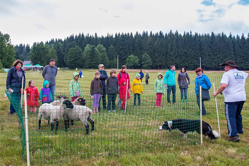 Slavnosti jizerskohorských luk proběhly v sobotu 15. července v Horním Maxově v přírodní rezervaci Malá Strana.