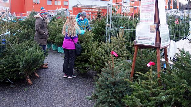 Prodej vánočních stromků se rozjel naplno i na Jablonecku.