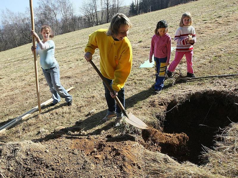 Tři druhy třešňových stromů vysázeli v sobotu děti a jejich rodiče na cestě z Nové Vsi nad Nisou na Černou Studnici. 