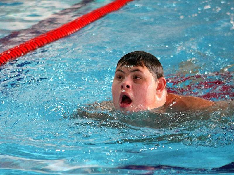 VÁNOČNÍ PLAVECKÉ ZÁVODY PRO HANDICAPOVANÉ. Sportovní Klub Jedlička Liberec a liberecké občanské sdružení D.R.A.K. uspořádaly v plaveckém bazénu v Jablonci nad Nisou ve čtvrtek 17. prosince Vánoční plavecké závody.