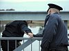 Muž seděl opilý na zábradlí mostu v Třebíči. Policisté ho dostali do bezpečí