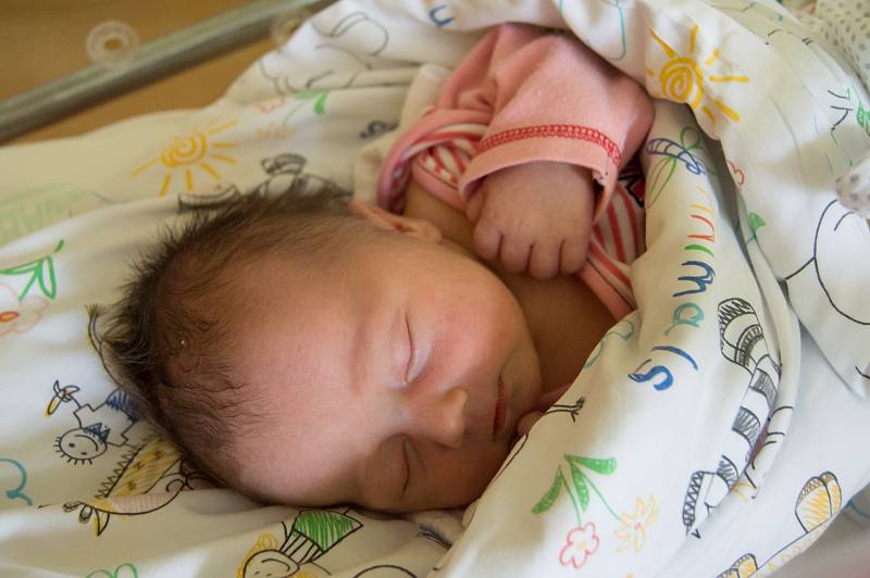 MAX ROZMAJZL se narodil v úterý 8. května mamince Petře Marnotové z Liberce. Měřil 52 cm a vážil 3,53 kg.