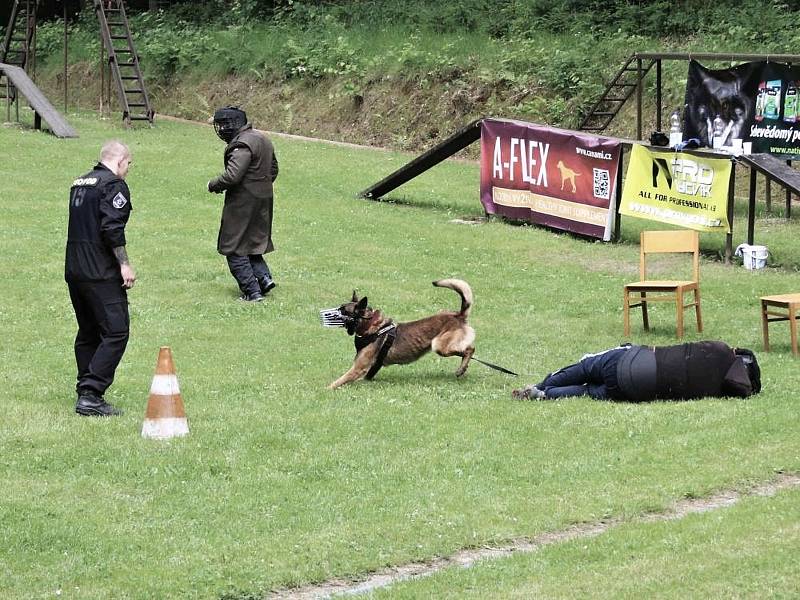 Psovodi z rýnovické věznice přivezli třetí místa z celostátní Velké ceny.