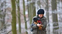 BUŘTÍKY NA DĚVÍNĚ. Zhruba 250 uzenin a adekvátní počet krajíců chleba připravili na Obecním úřadě v Hamru na Jezeře na Silvestrovský pochod. Nezapomněli ani na erární hořčici. 