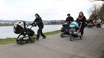 V neděli 13. dubna se na 40 místech České republiky závodilo s kočárky. Maminky a tatínkové si tzv. strollering vyzkoušeli na stometrové trati také v Jablonci nad Nisou u přehrady.