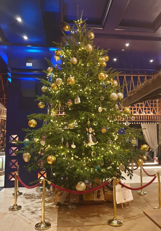 Nejdražší vánoční strom na světě byl odhalen v hotelu Kempinski Bahia v Marbelle ve Španělsku....