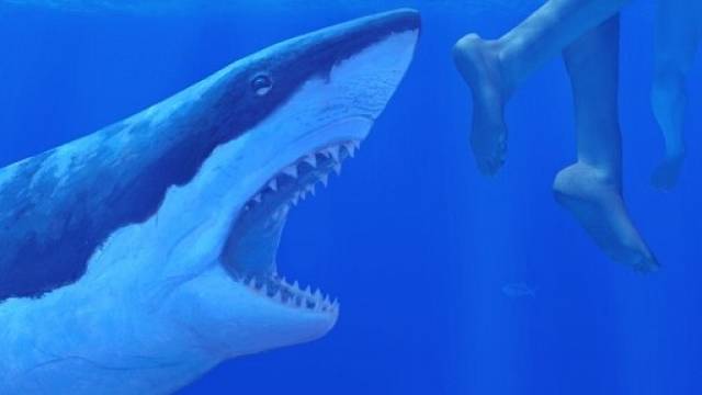 Nejhorší lidožrouti v dějinách: Čelisti. Žralok, který způsobil paniku po celém kontinentu