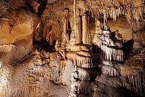 Výzdoba Javoříčských jeskyní je bohatá a zachovalá.