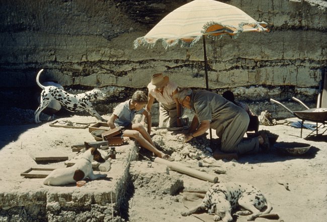 Paleontolog a člen NG Society Louis Leakey se svou rodinou zkoumají místo, kde byl objeven první hominid. 