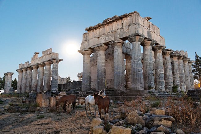 V Kyréné, jediné řecké památce mezi pěti památkami zapsanými v Libyi do Seznamu světového dědictví UNESCO, se kolem Diova chrámu starého 2 500 let volně potulují koně. 