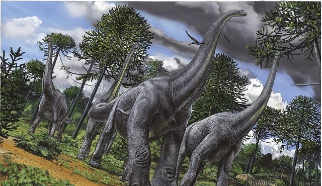 Nová teorie: Dinosauři vyhynuli kvůli překyselení oceánů