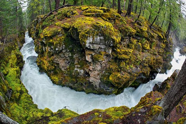 Oregonská řeka je jednou z původních osmi řek, které byly chráněné před stavbou přehrad v roce 1968.
FOTO: Michael Melford pro National Geographic