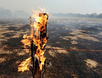 Texas. Plápolající sloupek ohrady vyznačuje rozsah lesního požáru poblíž Bastropu 5. září 2011 během období rekordního sucha a vlny veder. Požár, který zničil 1 685 domů, možná zažehly jiskry z odumře