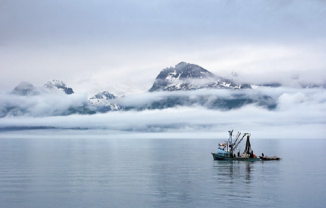 Strmými horami a ledovci uzavřený záliv Prince William Sound na Aljašce se většinu roku halí do deště a mlhy.