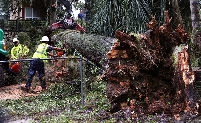 Na Floridě, Georgii a Jižní Karolíně musel být vyhlášen stav ohrožení, evakuace byla nařízena či doporučena více než dvěma milionům lidí.