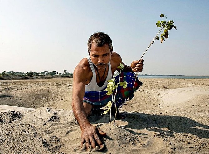 Před 39 lety Jadav zasadil první strom...