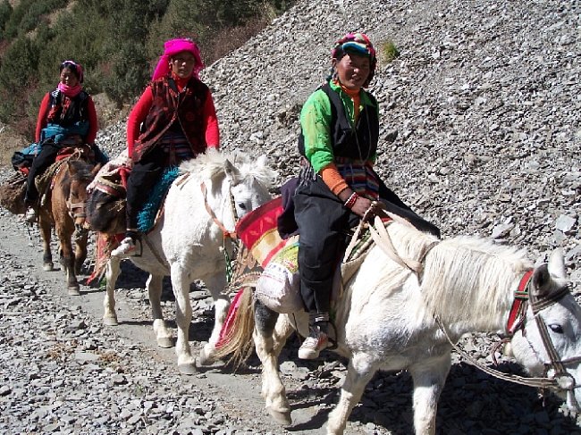 Sláva Litangu s jeho koňmi sahá až do Lhasy.