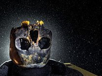Lebka mladé ženy je převrácená, aby zuby držely na místě. Byla nalezená v zatopené jeskyni v Mexiku a dala tvář prvním obyvatelům Nového světa.