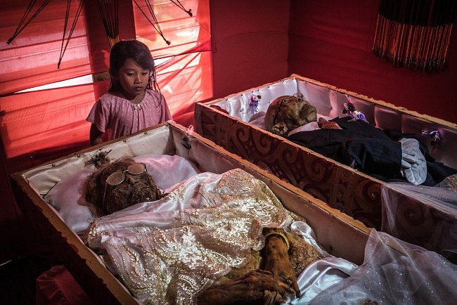 Domorodci z kmene Toraja, který obývá indonéský ostrov Sulawesi, věří v posmrtný život a dodržují pro ostatní smrtelníky jeden velmi zvláštní rituál.