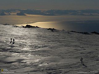 Mount Erebus