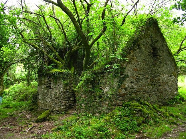 Stezka Kerry Way mezi Sneemem a Kenmare, Irsko