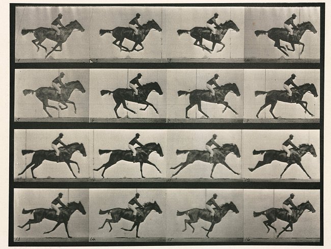 Fotografická studie běžícího koně