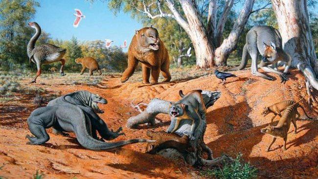 Obří klokani, monstrózní ještěrky i půltunové husy – to byla australská megafauna