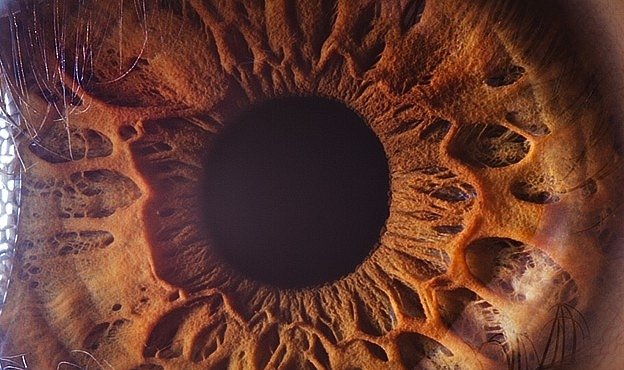 Makrofotografie lidských očí: jsou skutečnou bránou do duše