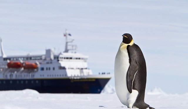 Češi v Antarktidě postavili skleníky. Předpovídají, že teplota se tam zvýší o 1,5 stupně