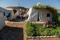 Mohammad Magelk pečuje o oázu, kterou vytvořil v prašném táboře Nizip 1, kde nyní žije více než 11 000 Syřanů. Žije zde dva roky a během té doby potkal ženu, s níž se oženil a založil rodinu.