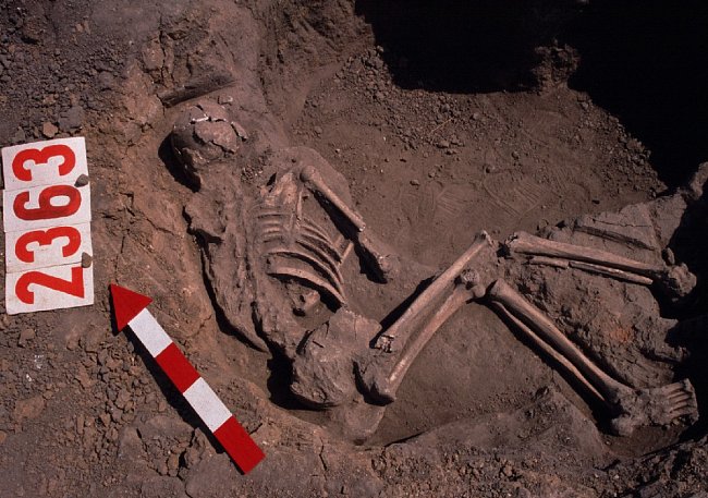 Kostra „pohozence“ z archeologického naleziště v Kněževsi u Prahy datovaného do doby bronzové.