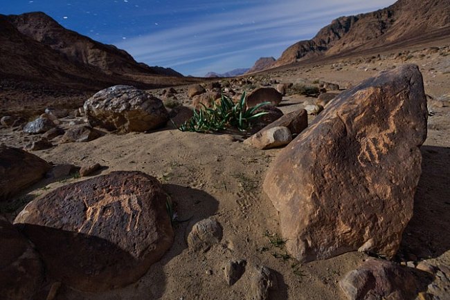 Stylizované rytiny velbloudů, jednoho i s jezdcem (vlevo), patří mezi tisíce petroglyfů a nápisů, které po sobě zanechali cestovatelé během nejméně 2 500 let ve Wádí Hafíru, úzkém kaňonu posetém balvany na jihu Jordánska.