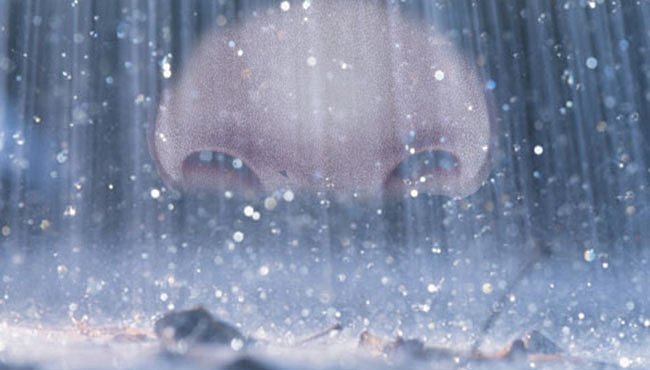 Proč nám voní déšť? Všechna sláva nepatří jen ozónu