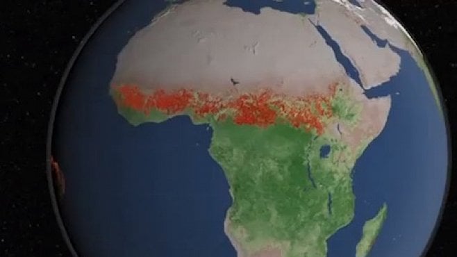 Video NASA: Všechny požáry světa na jedné animaci