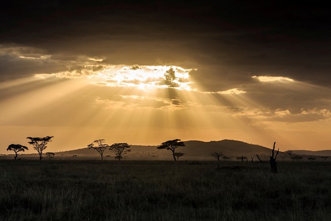Národní park Serengeti, Afrika