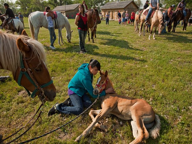 Oglalové odpradávna chovají koně v hluboké úctě - říkají mu sunka wakan neboli posvátný pes. 