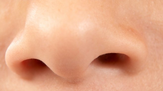 Lidský nos je schopen odlišit bilion vůní a pachů
