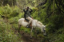 Ačkoli „hypoornitologie“ vyhlíží jako svůdná metoda průzkumu ptáků, má i svá úskalí.
