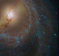 Snímek z Hubbleova vesmírného dalekohledu ukazuje galaxii Messier 98, která se nachází v souhvězdí Lva vzdáleném 35 milionů světelných let. Tato galaxie objevená v roce 1781 strukturou připomíná naši Mléčnou dráhu. Je proslulá výskytem supernov.