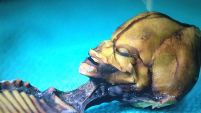 Mumie údajného mimozemšťana má vydat tajemství