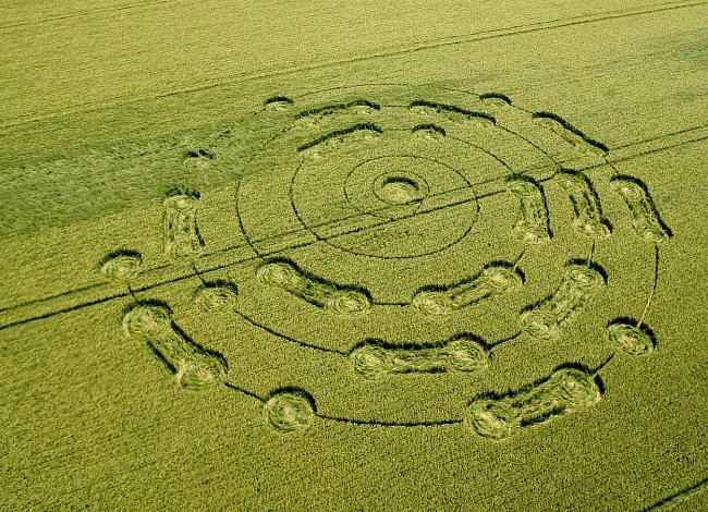 Záhadou jsou i složité kruhy v obilí, které se objevily v anglickém hrabství Hampshire.